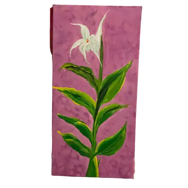 “Casper The Friendly Ghost” 👻 Inspired By Ghost Orchids Wildflower On 24” By 12” Canvas Original Art Signed By Artist