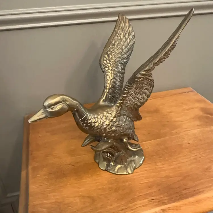 Heavy Mallard In Flight - Andrea By Sadek