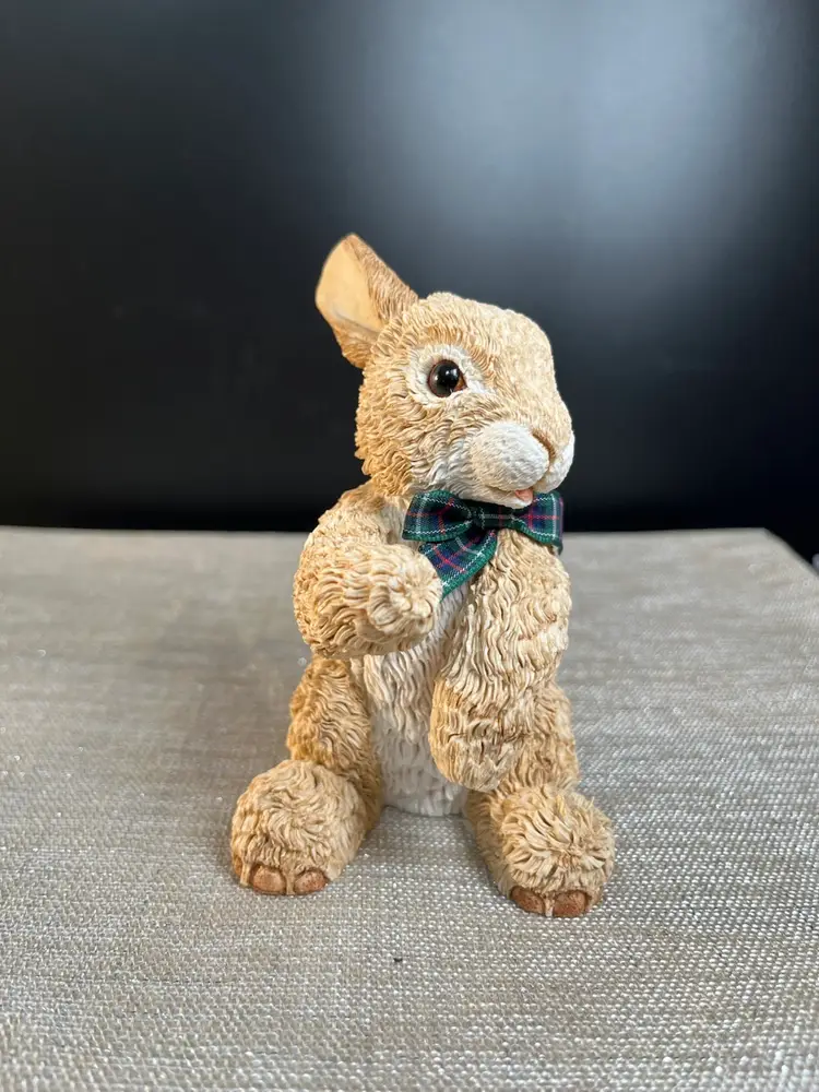 Bobtails Paw Prints-Very Realistic Textured Tan & White Bunny