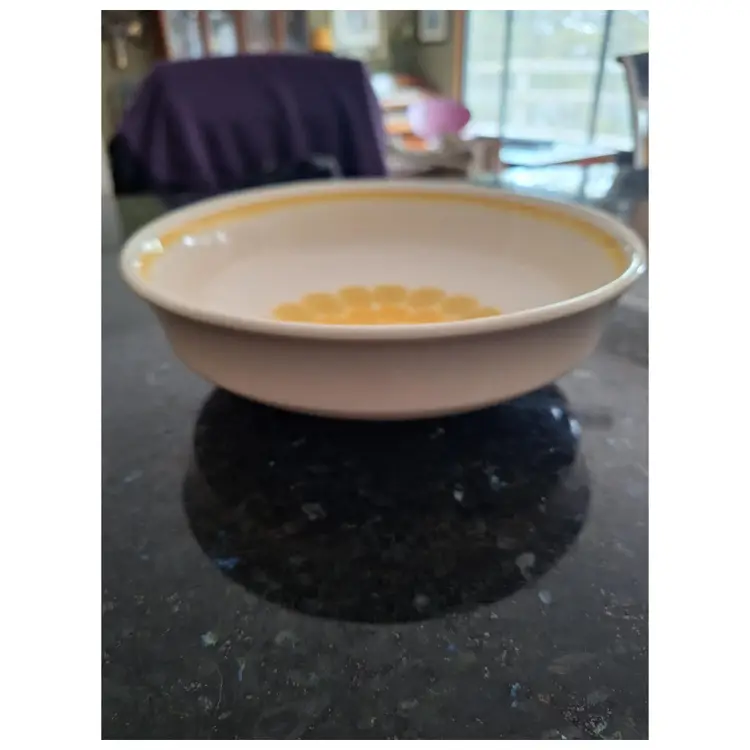 Franciscan Sundance 9 & 1/2" Serving Bowl