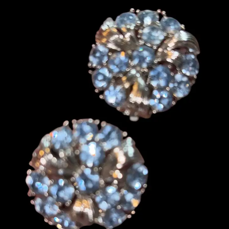 Lisner Clip On Earrings