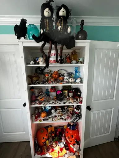 👀🚨Halloween Decor/Jewelry & Oregon Finds! Shop Newly Arranged shelves W/MoonSkyVintage