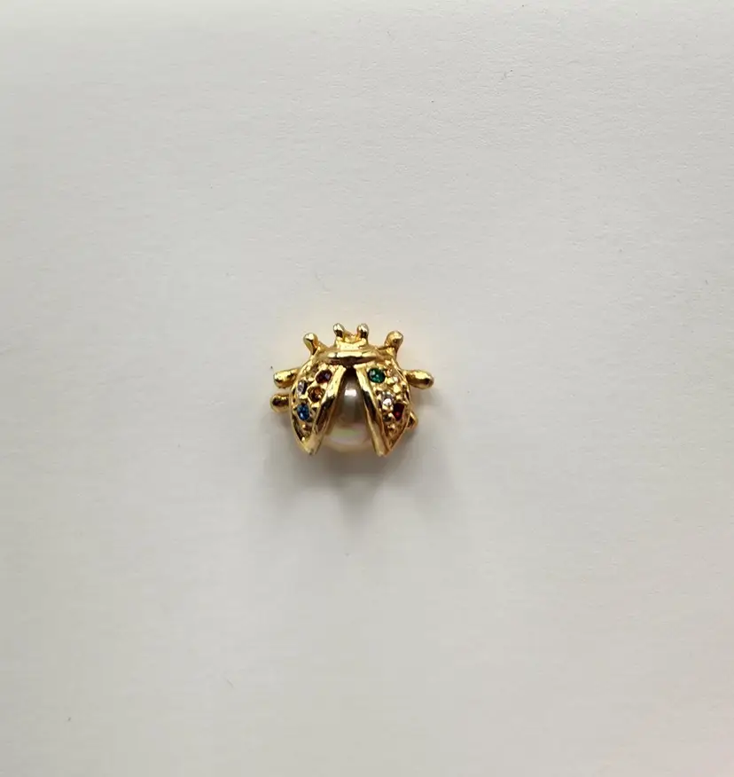 Beetle Pin 1/2" wide