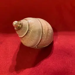 12. Metal Enamel Pearl Shell Trinket Box