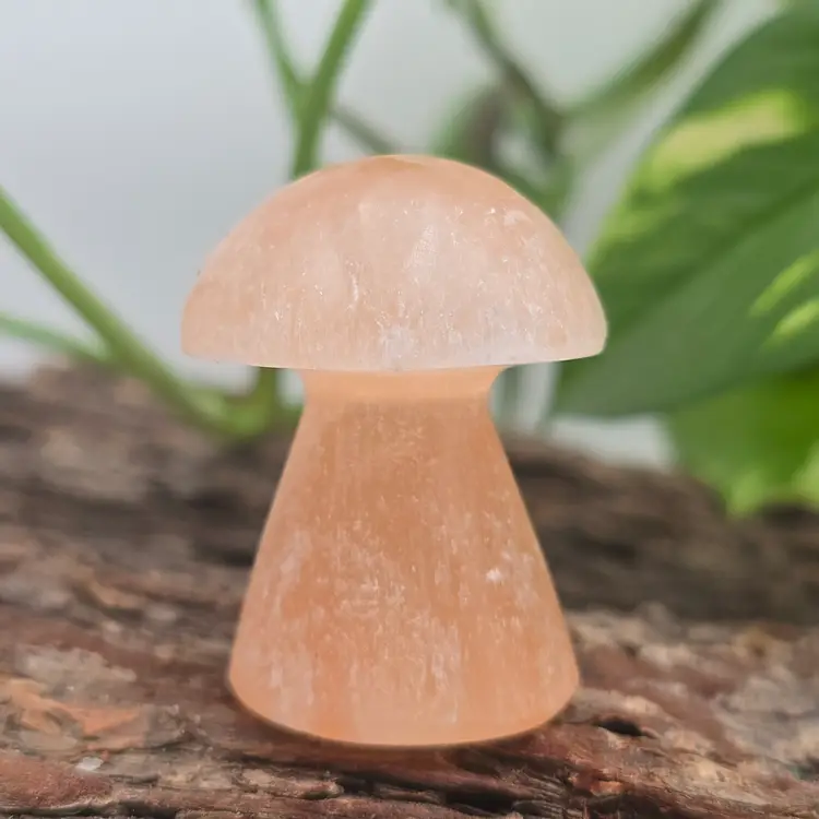 Peach Selenite Mushroom from Morocco ~ Polished Crystal Carvings