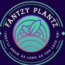 fantzyplantz