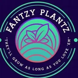 fantzyplantz