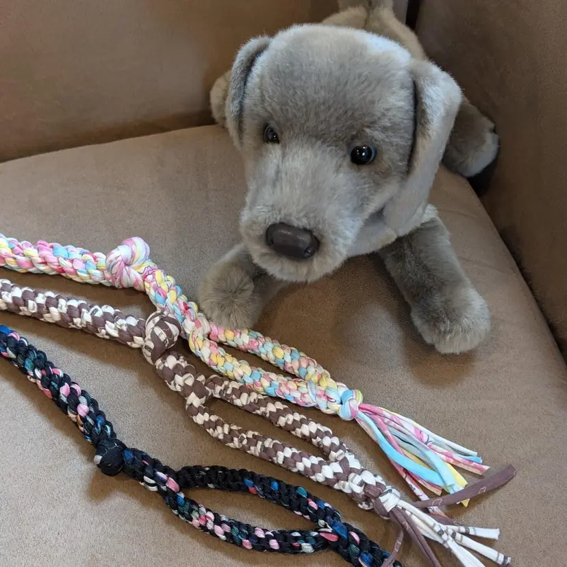 Lily's Large Dog Chew - Pastels with Handle