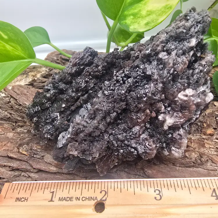 Selenite After Goethite from Mexico ~ Crystal Specimens