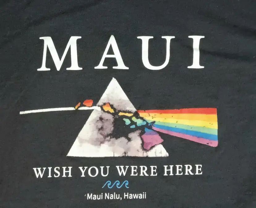 Maui Wish You Were Here Pink Floyd t-shirt Dark side of the Moon Hawaii