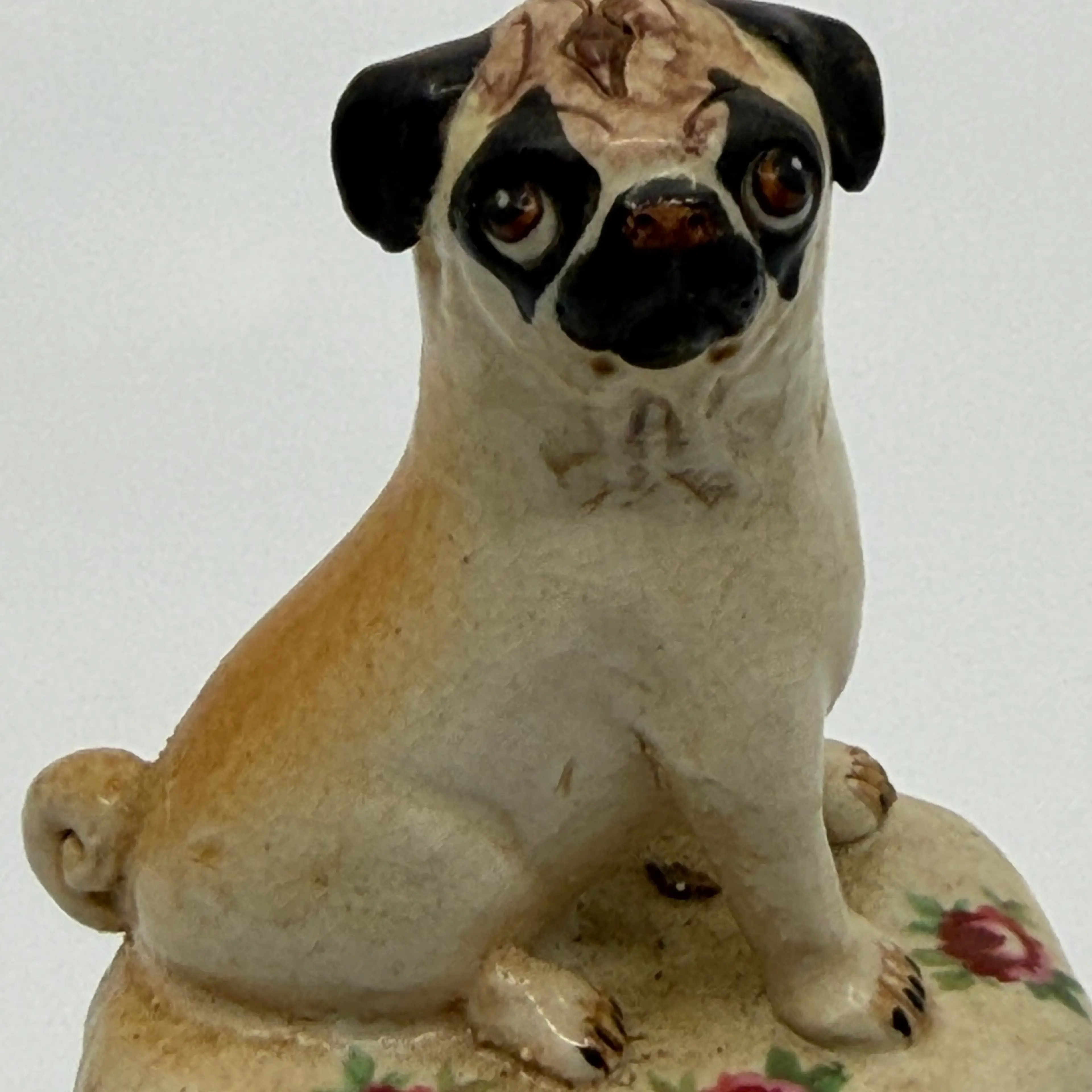 Image 2 of 7