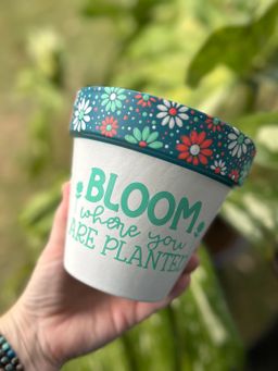 6 inch teal white bloom