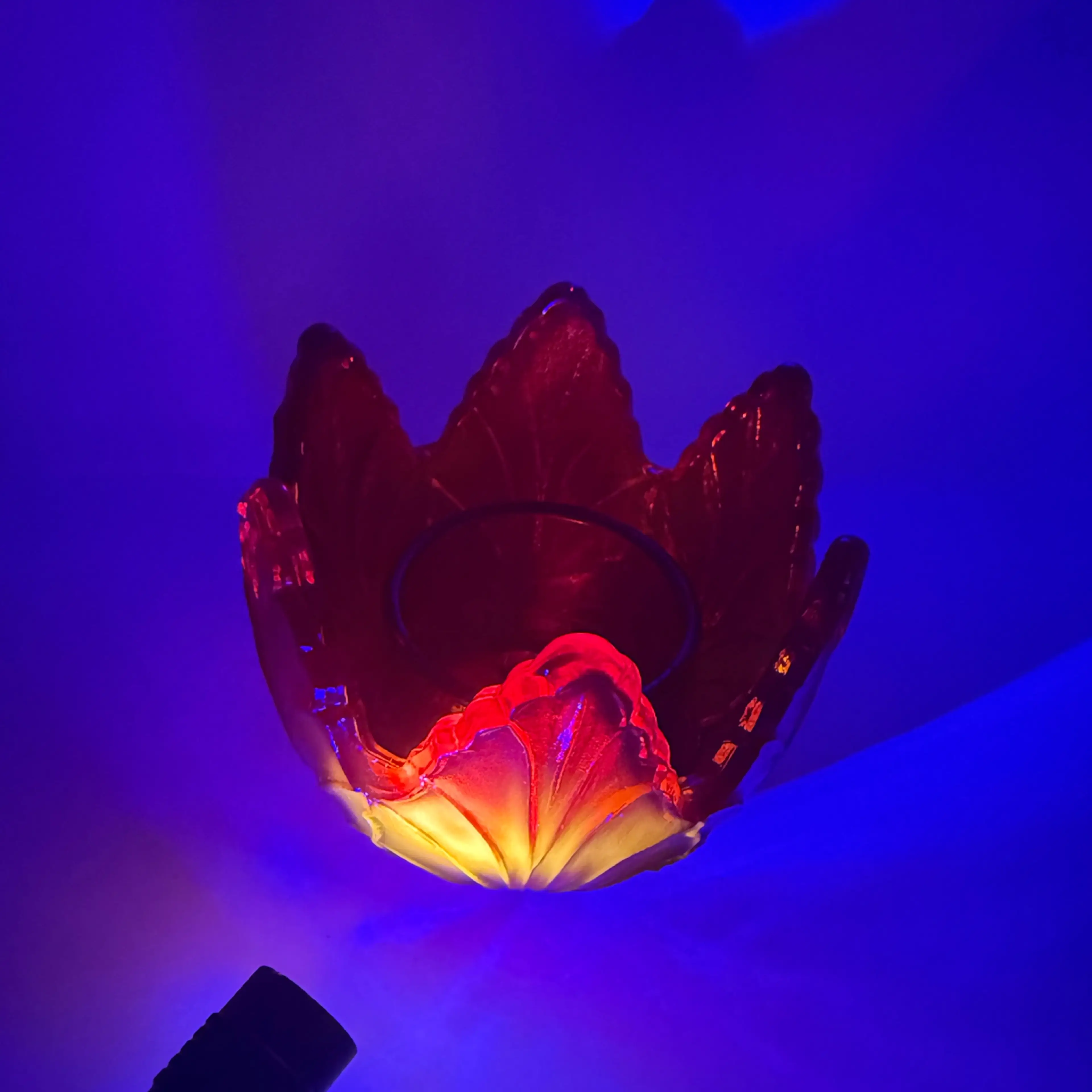 Image 4 of 7