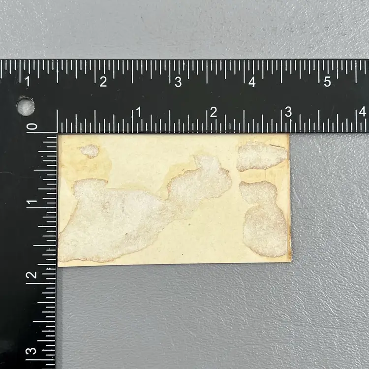 Victorian Trade Card A.N. Fletcher Fine Boots Shoes Plymouth Mass