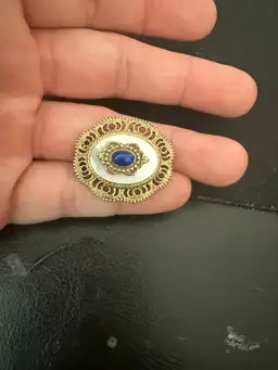 Vintage Mother Of Pearl Pin