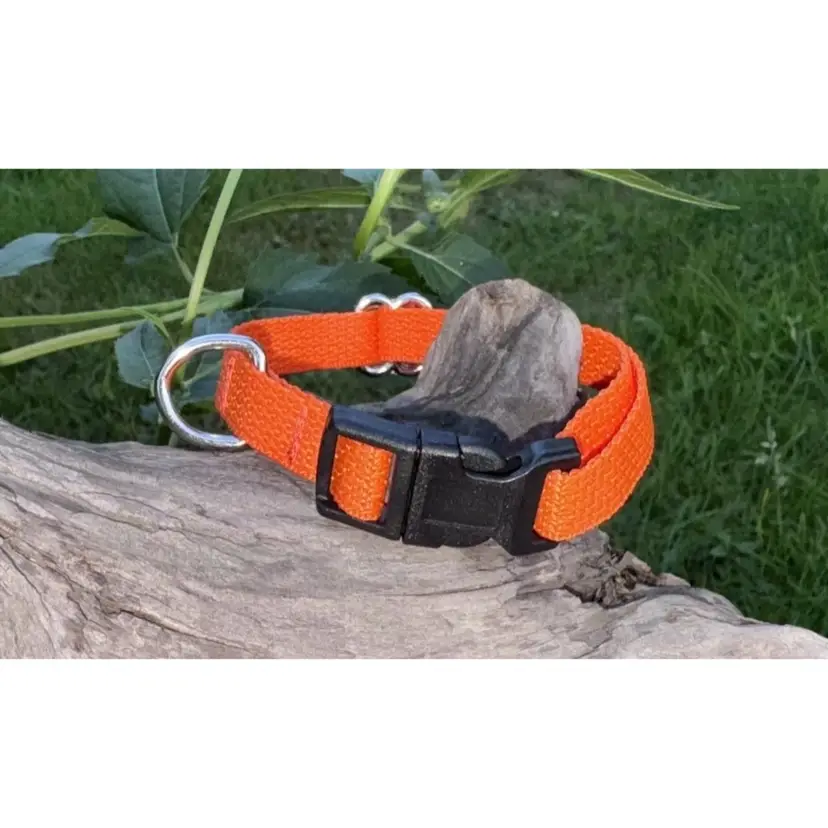 Dog/Cat/Puppy Collar Blaze Orange Small Handmade NEW Hunting Season