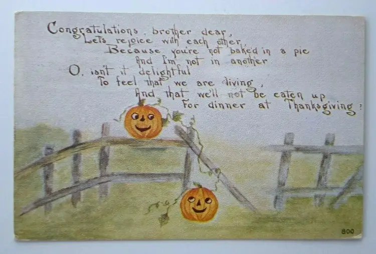 Thanksgiving Postcard Pumpkins JOL Owen Series 800 Original Norfolk VA 1911