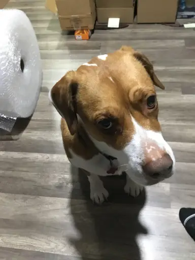 Saturday Night Live!