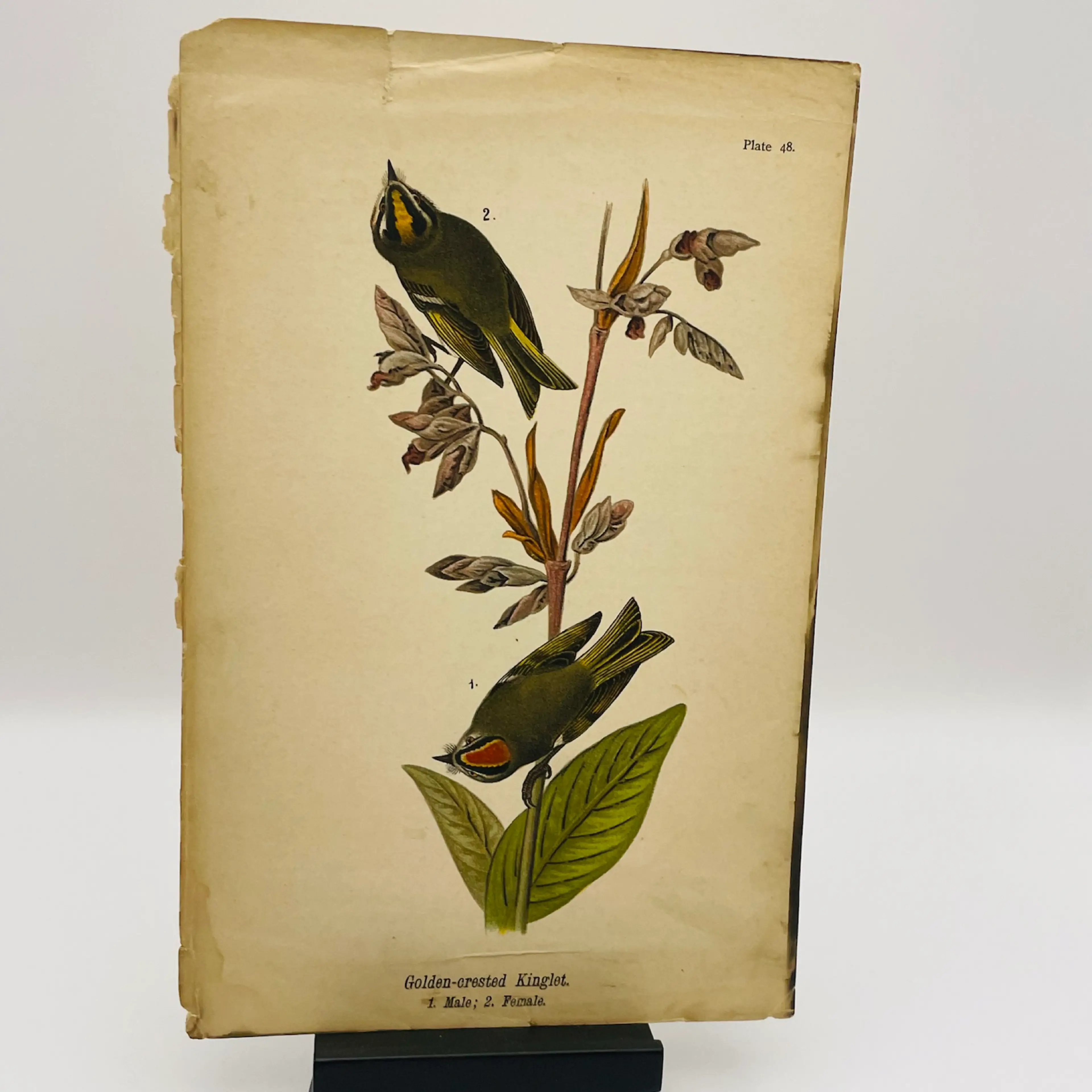 Image 1 of 10