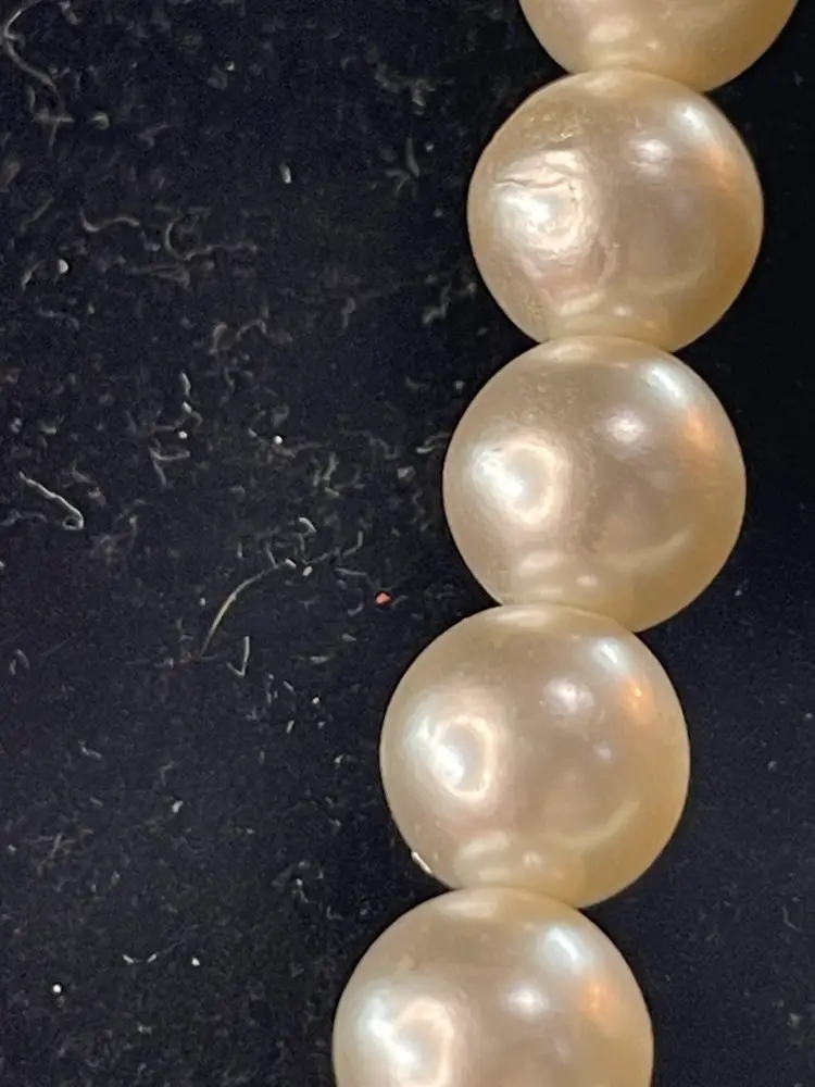 Vintage Sarah Coventry