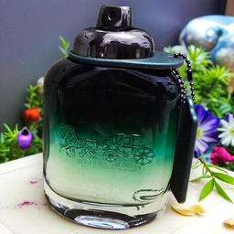 Coach New York Green Eau De Toilette 3.3 oz/ 100 ml Men's Spray Perfume Cologne