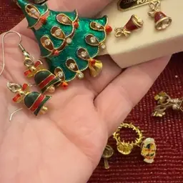 Brooch Earrings