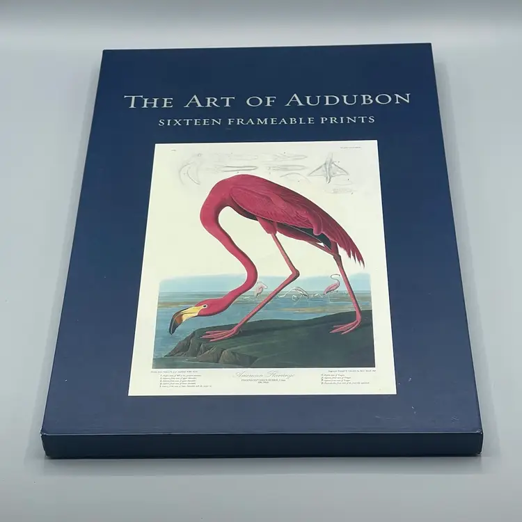 The Art Of Audubon Collection Of 16 Framable Prints 10X15