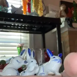 Blue And White Bunnies