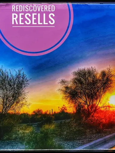 Embrace Your Shine And Collectible Treasure 