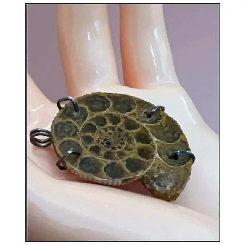 Ammonite Fossil Pendant