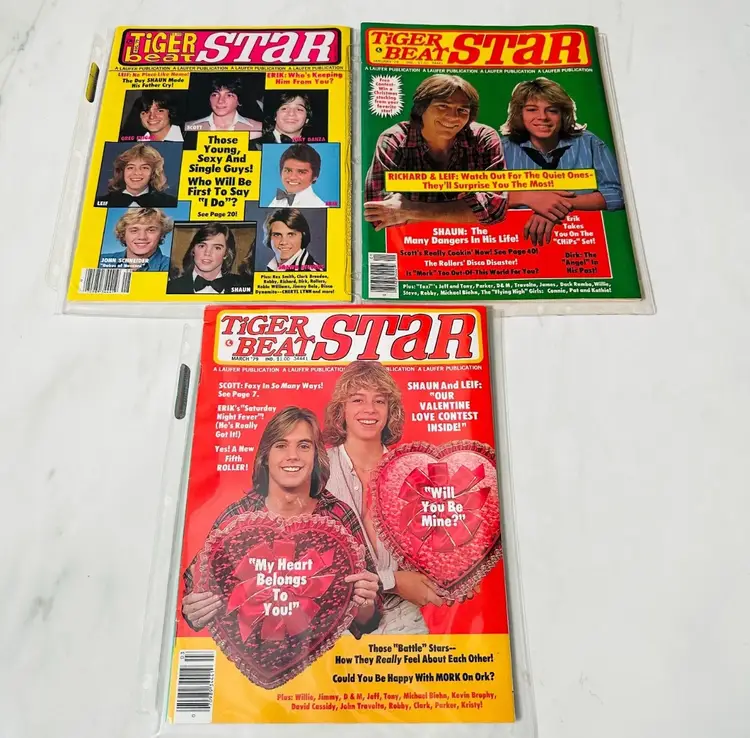 
Tiger Beat Star Magazines - Lot of 3 1979 Issues - Leif Garrett - Shaun Cassidy 