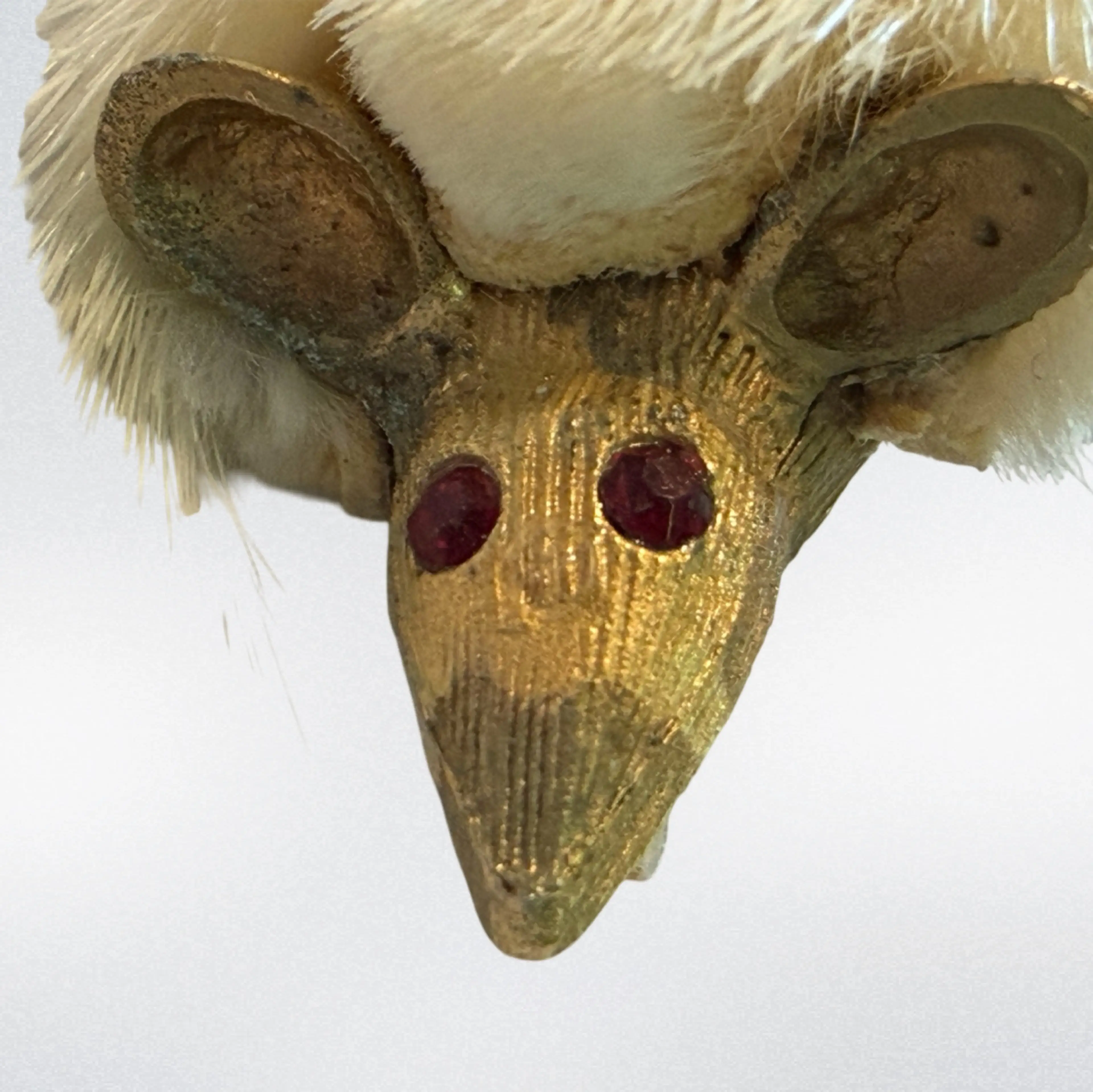 Image 3 of 5