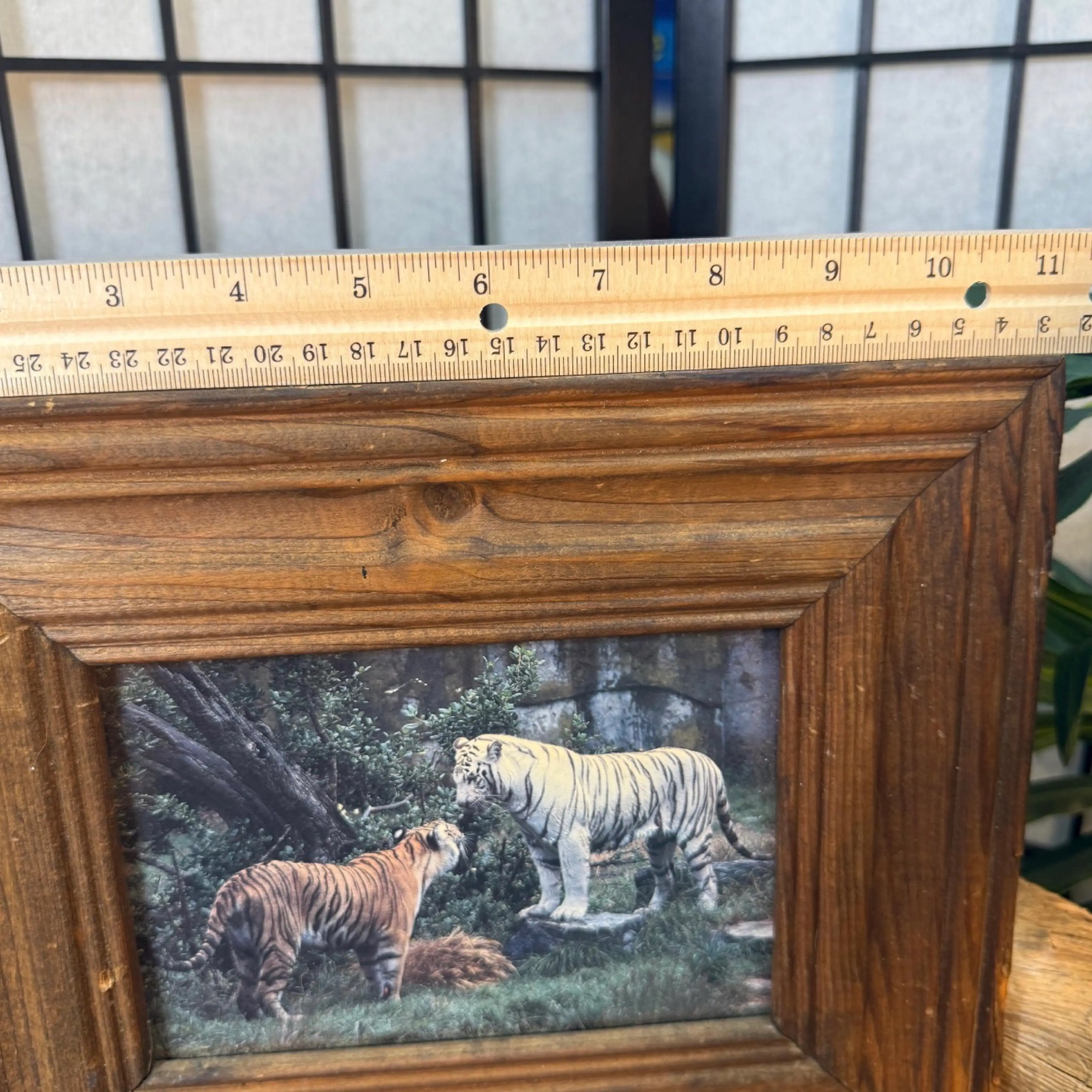 Image 3 of 4