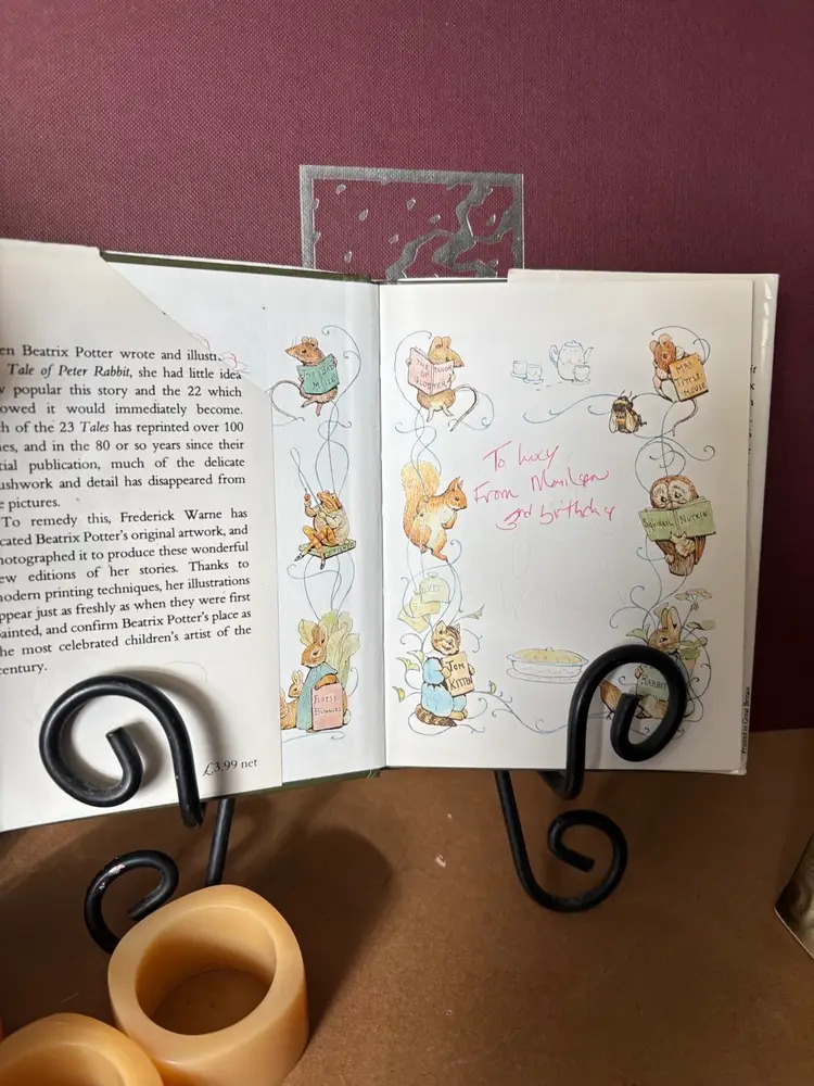 The Tale Of Mrs Tiggy-Winkle