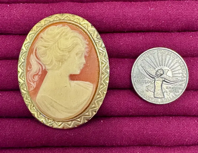Vintage Gold Tone Resin Cameo Brooch
