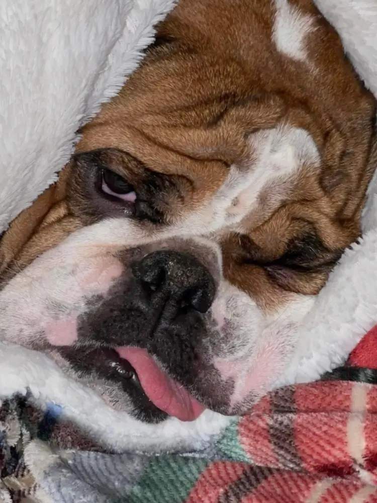 Rosey Invites You To The Friday Show Over 500 Items Will Be Listed. Stop In And Say Hi!