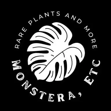 MonsteraEtc