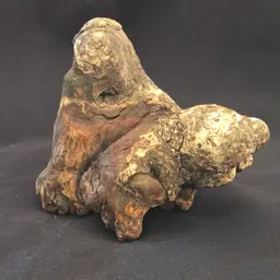 Natural Wood Burl Root Sculpture Driftwood Style Organic Decor 4¼"×4½" with Condition Issues