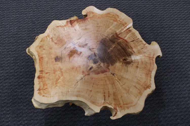 Live Edge Maple Cookie Coffee Table