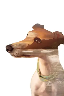 Setting Memories Framed Photo