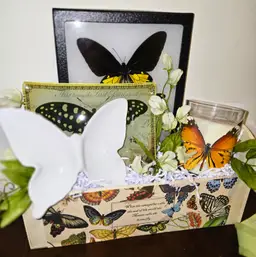 Vintage Butterfly Gift Basket Trinket Dish, Candle, Decor, Framed Specimens, Box