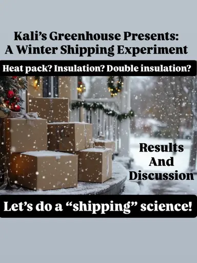 Experiment Results And Discussion