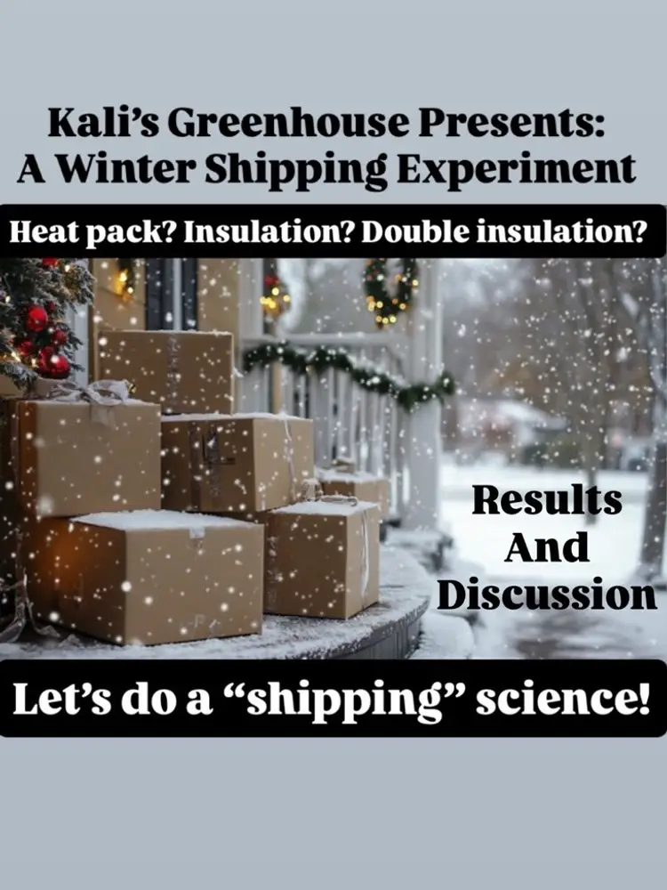 Experiment Results And Discussion