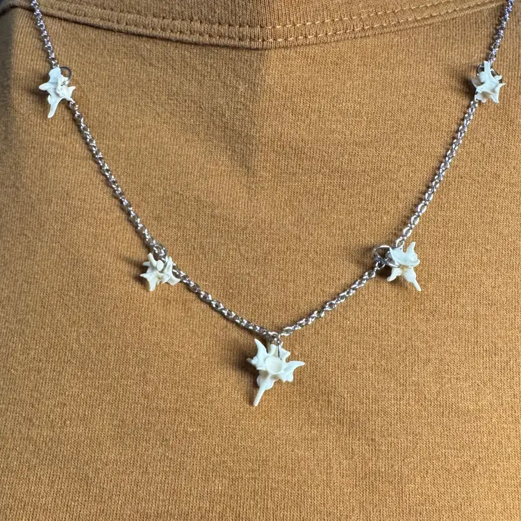 Rattlesnake vertebrae taxidermy necklace