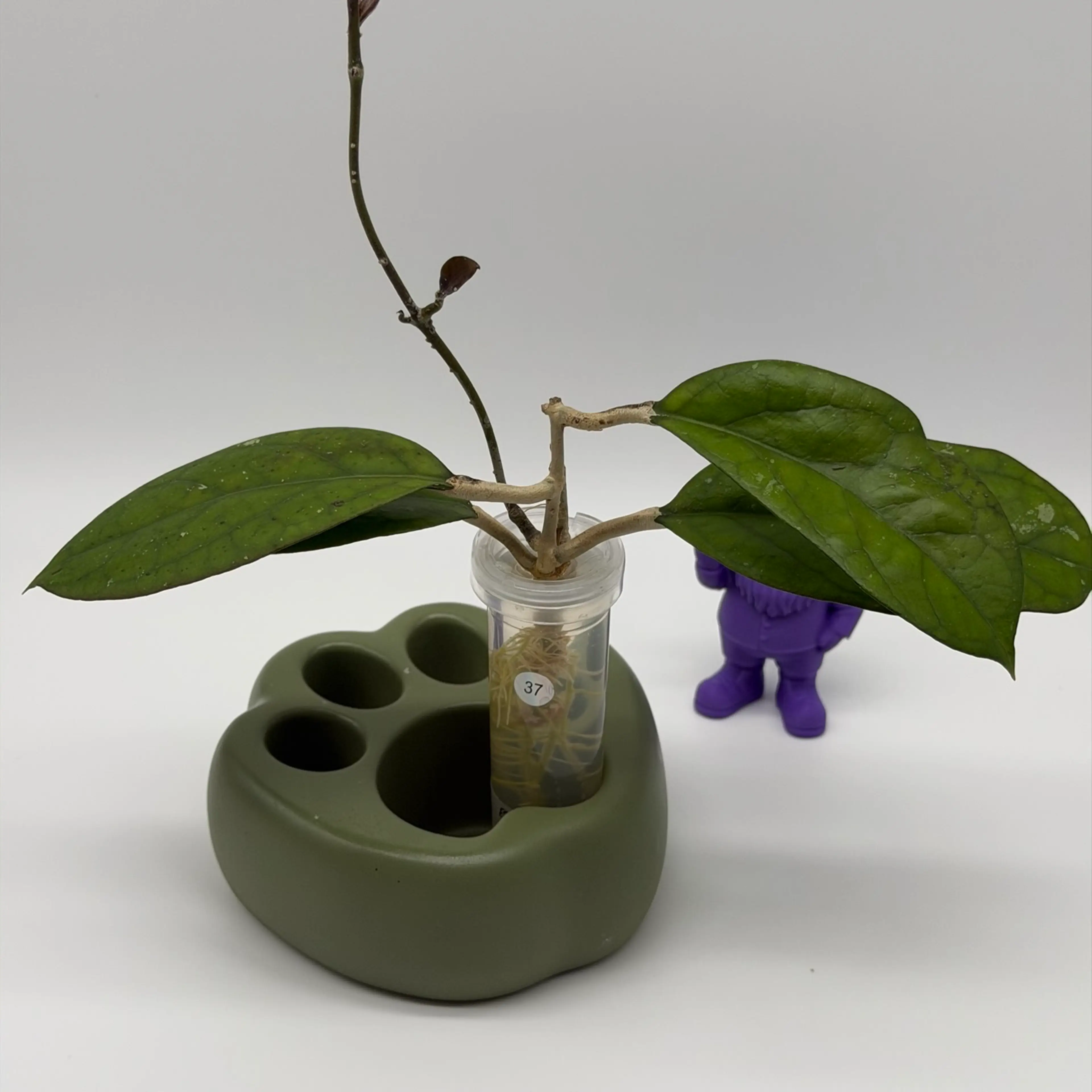 Image 2 of 4