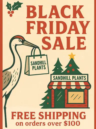 Free Shipping Orders Over $100 ($25 Value)