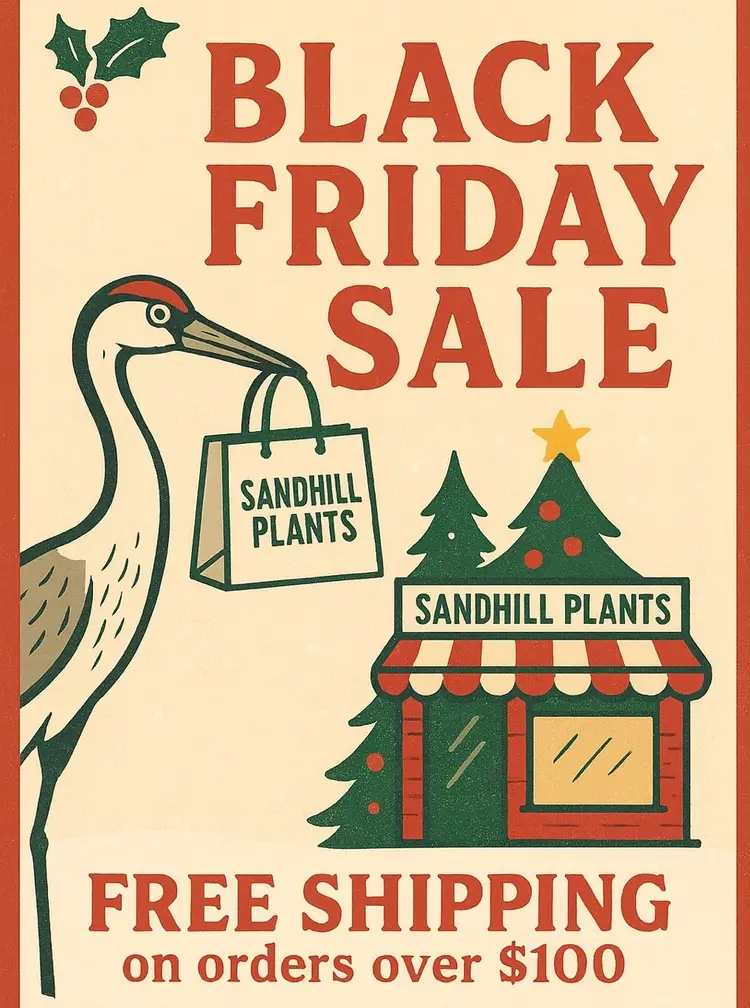 Free Shipping Orders Over $100 ($25 Value)