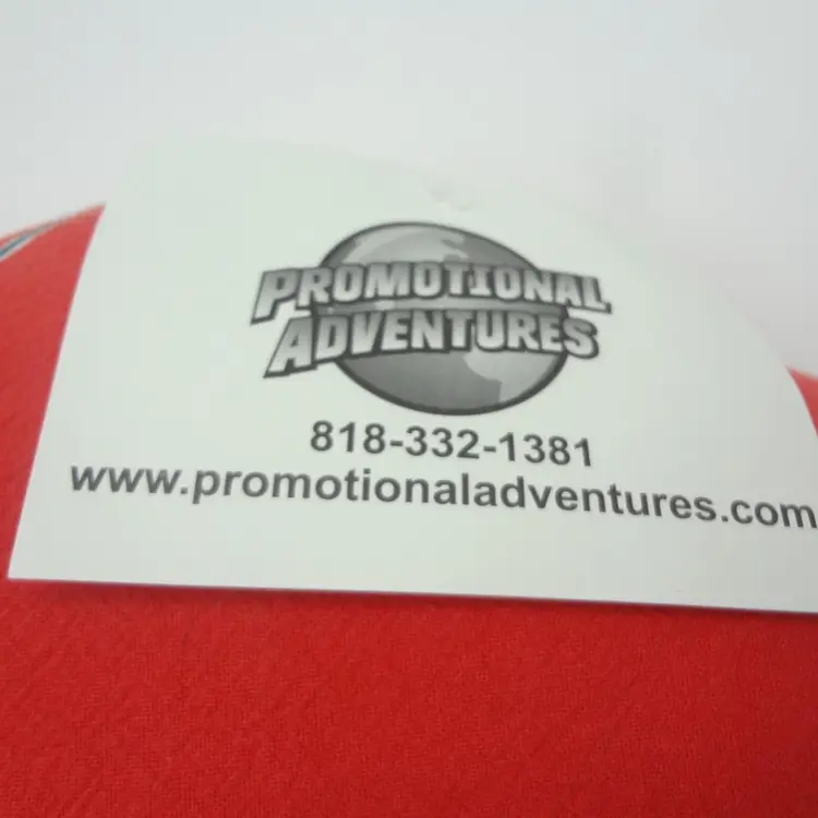 Madison Wisconsin Promotional Pillow