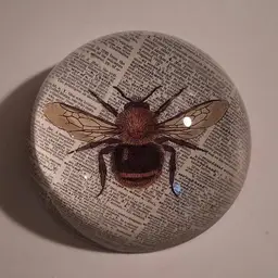 Glass Domed Bumblebee 🐝 Paperweight