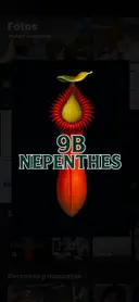 9bnepenthes_